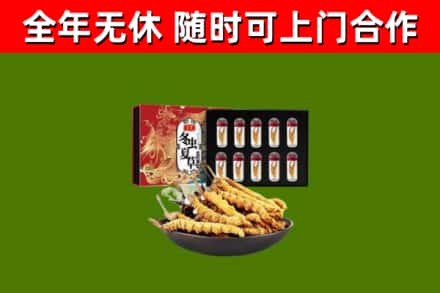 山西回收冬虫夏草价格
